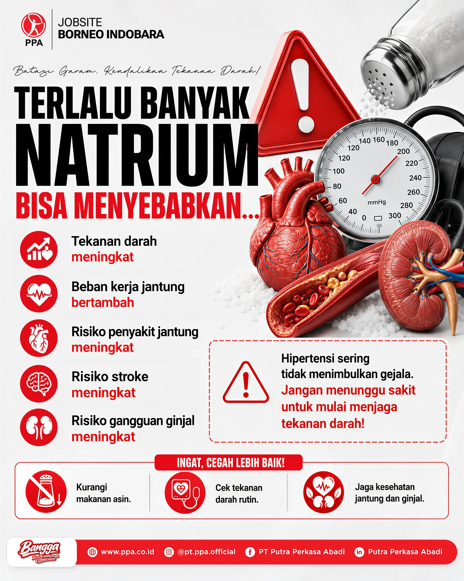 Dampak Fatal Konsumsi Natrium Berlebih Bagi Organ Vital Tubuh